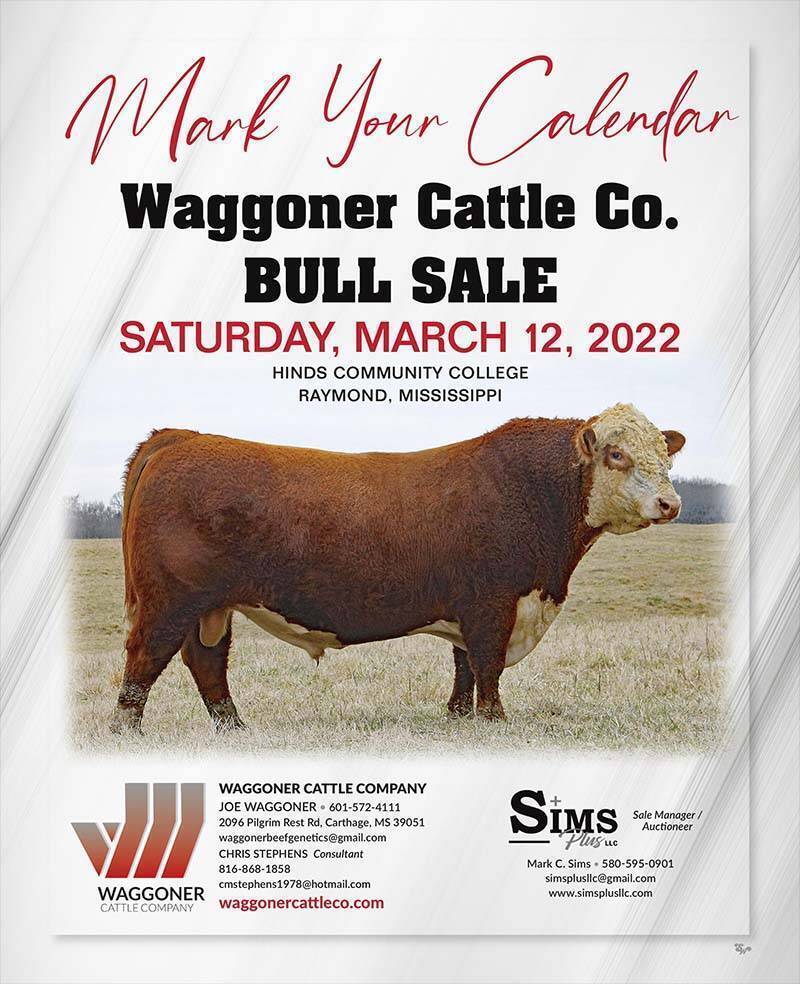 Bull sale march 12 2022